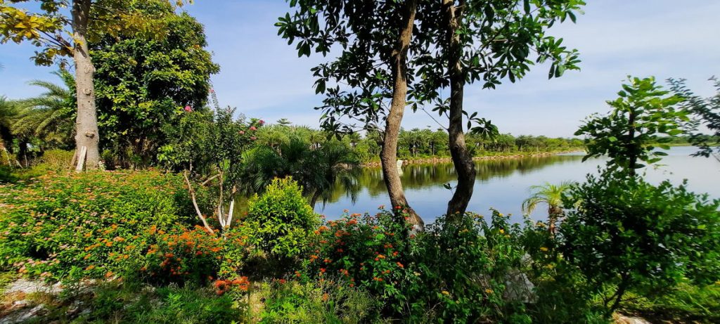 Công viên hồ điều hòa Từ Sơn Garden City