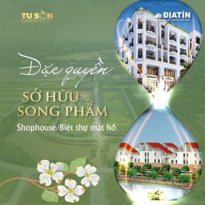 Lưu bản nháp tự động